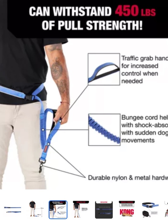 KONG Other - KONG Blue 6ft Hands Free Bungee Dog Leash Shock Absorbing NWT